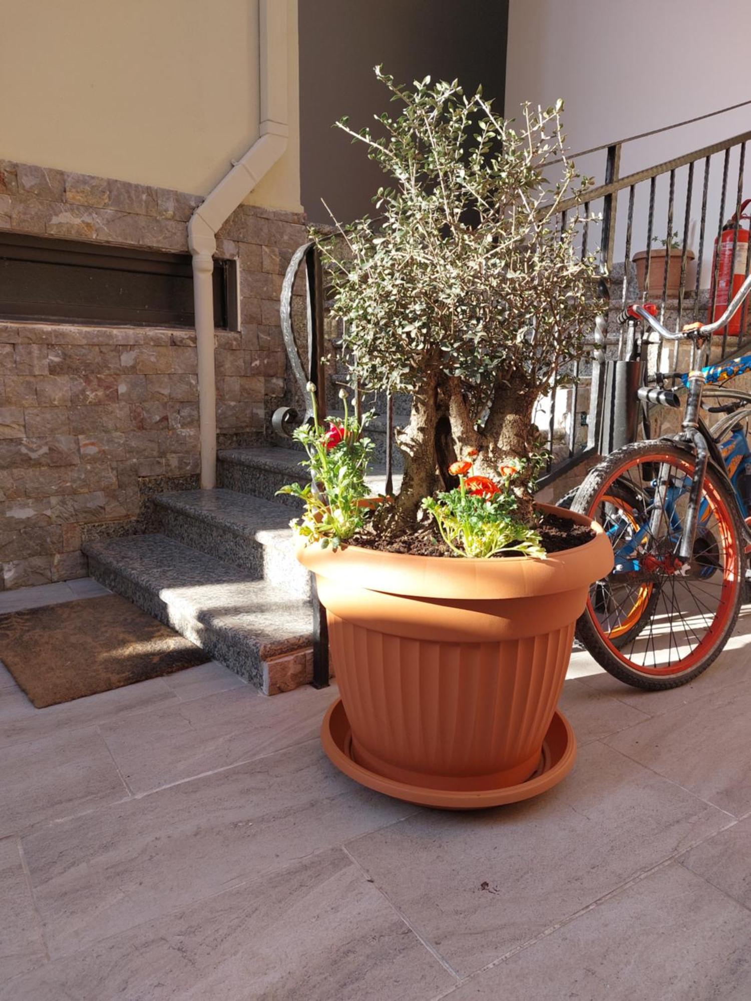 טיראנה Vila Tafa Apartments חדר תמונה